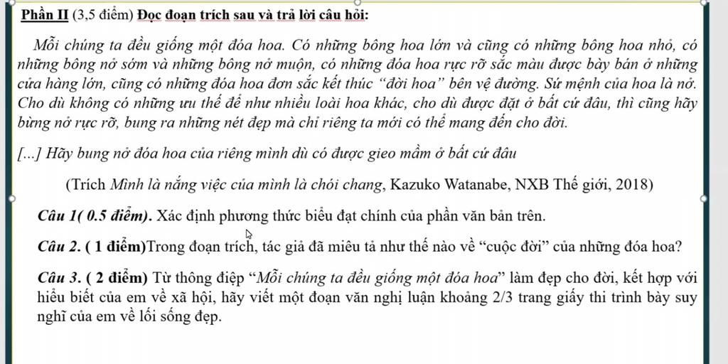 Mỗi Chúng Ta Đều Giống Một Đóa Hoa: Khám Phá Vẻ Đẹp Riêng Biệt Của Mỗi Con Người